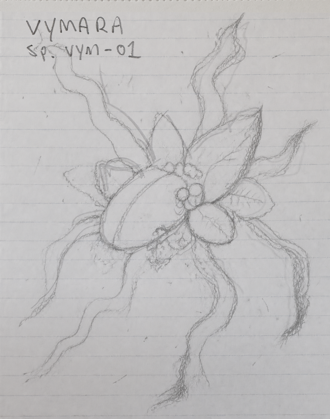Hand-drawn charcoal sketch of the Vymara entity